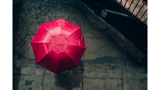 Monsoon Saree Guide: What to Wear When It Pours?