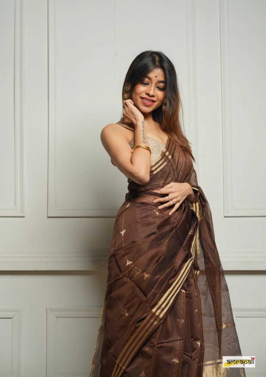 Soft Cotton Silk Saree with Jacquard Weaving & Rich Pallu – Elegant Festive Wear with Unstitched Blouse [Brown] - House of ViDi