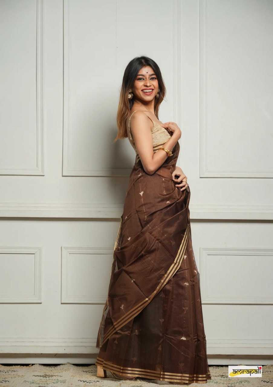 Soft Cotton Silk Saree with Jacquard Weaving & Rich Pallu – Elegant Festive Wear with Unstitched Blouse [Brown] - House of ViDi