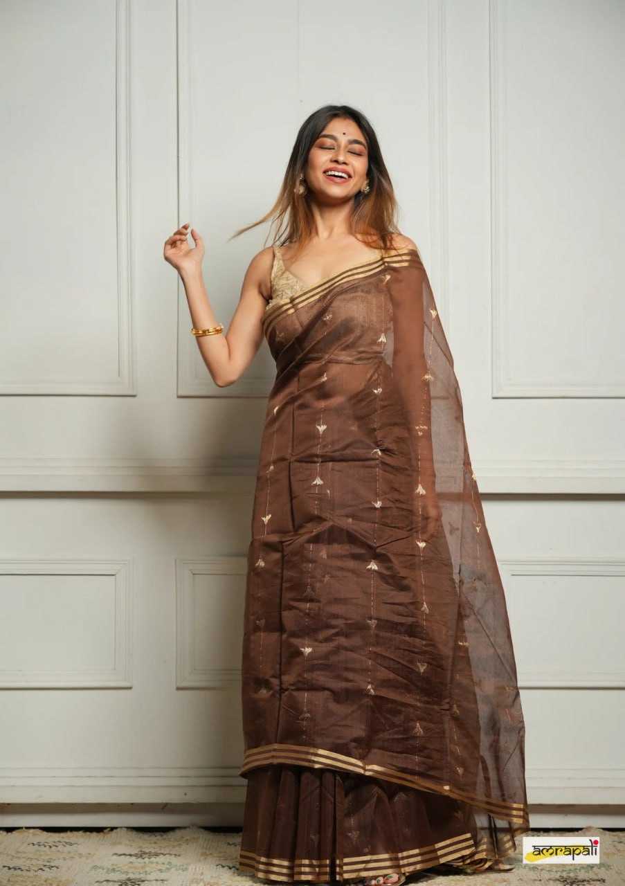 Soft Cotton Silk Saree with Jacquard Weaving & Rich Pallu – Elegant Festive Wear with Unstitched Blouse [Brown] - House of ViDi