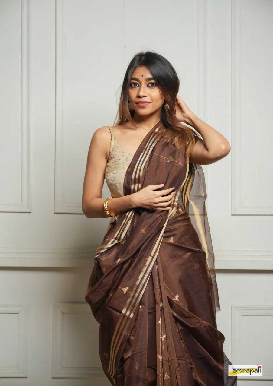Soft Cotton Silk Saree with Jacquard Weaving & Rich Pallu – Elegant Festive Wear with Unstitched Blouse [Brown] - House of ViDi