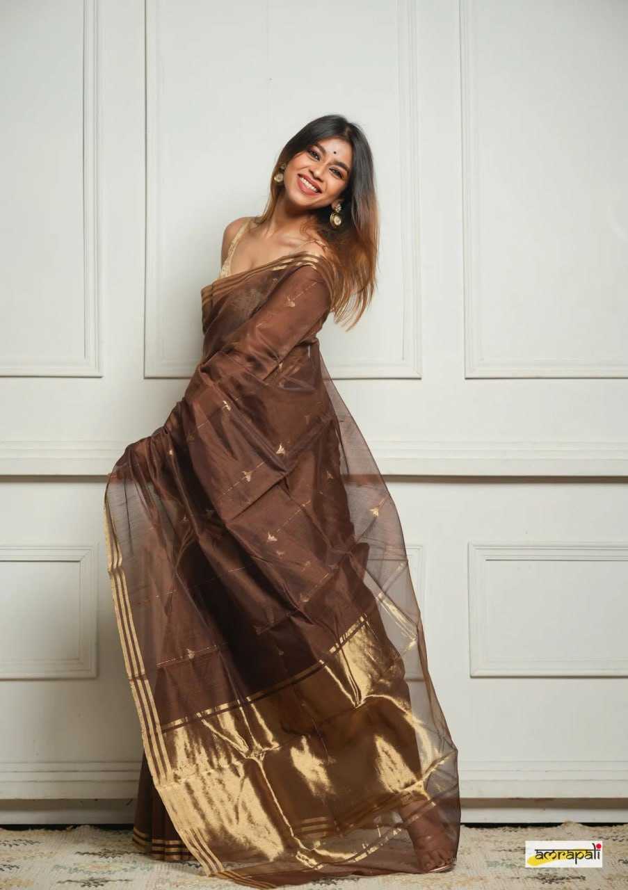 Soft Cotton Silk Saree with Jacquard Weaving & Rich Pallu – Elegant Festive Wear with Unstitched Blouse [Brown] - House of ViDi