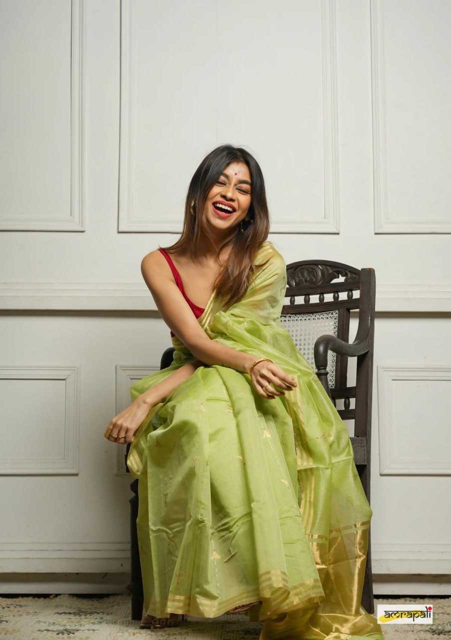 Soft Cotton Silk Saree with Jacquard Weaving & Rich Pallu – Elegant Festive Wear with Unstitched Blouse [Pista] - House of ViDi