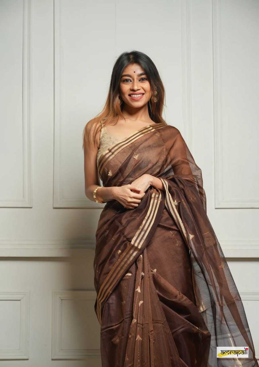 Soft Cotton Silk Saree with Jacquard Weaving & Rich Pallu – Elegant Festive Wear with Unstitched Blouse [Brown] - House of ViDi