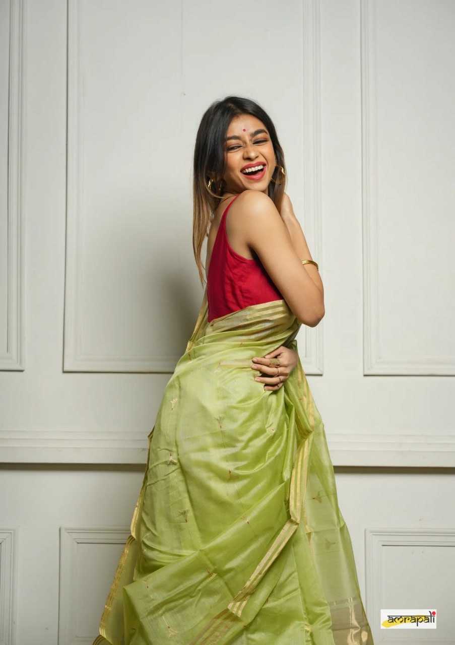 Soft Cotton Silk Saree with Jacquard Weaving & Rich Pallu – Elegant Festive Wear with Unstitched Blouse [Pista] - House of ViDi