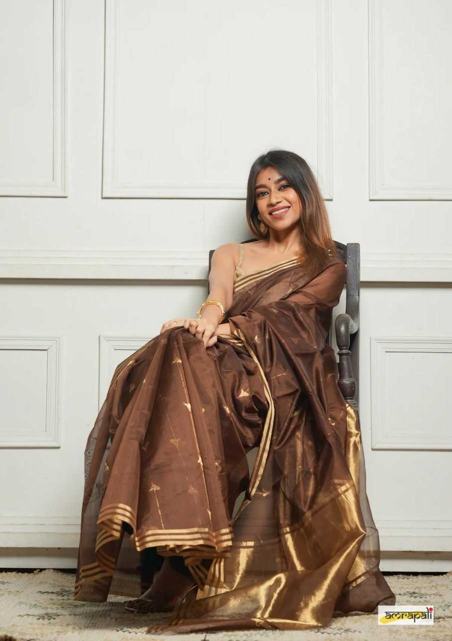 Soft Cotton Silk Saree with Jacquard Weaving & Rich Pallu – Elegant Festive Wear with Unstitched Blouse [Brown] - House of ViDi