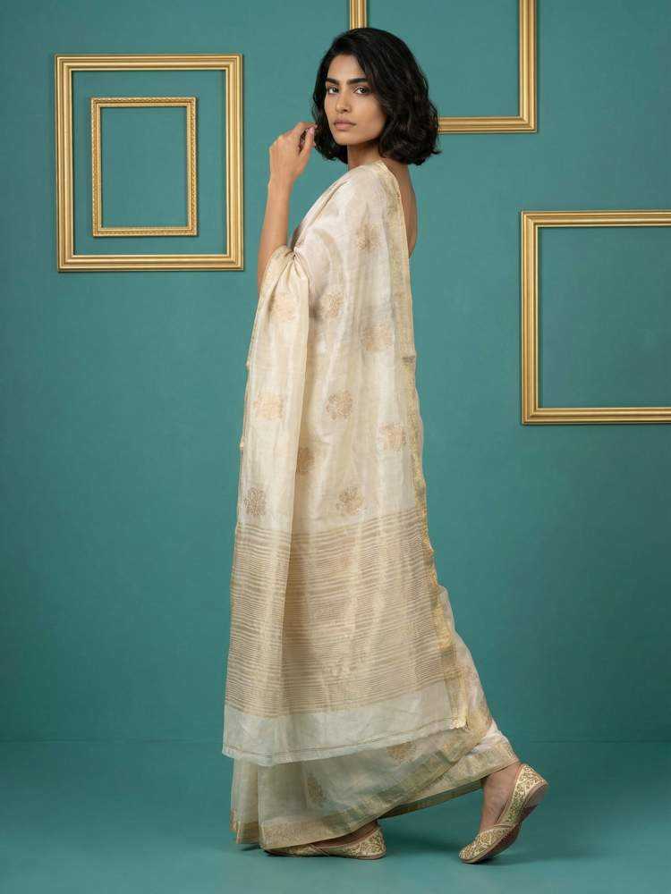 Tussar Silk Saree with Chain Stitch & Cutwork Embroidery - House of ViDi